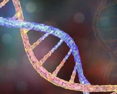 武汉助孕骗局案例,武汉供精人授成功案例