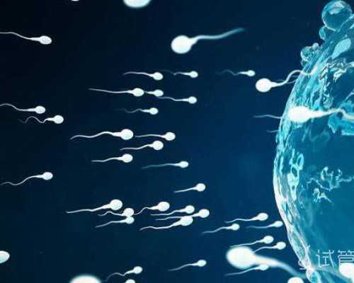 武汉借卵子,武汉供卵试管流程,武汉供卵试管中心