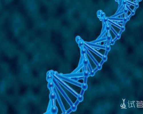 甘肃人工受孕费用多少钱,甘肃市孕宝国际健康管理有限公司怎么样?