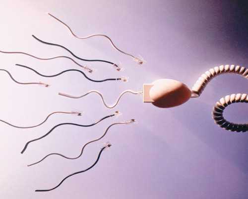 武汉供卵试管包成功价格费用 武汉可以做试管婴儿的医院如下 ‘四维彩超胎心