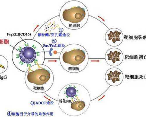 北京试管助孕机构,找女人代怀产子公司,试管婴儿包成功包生男孩_子宫性不孕