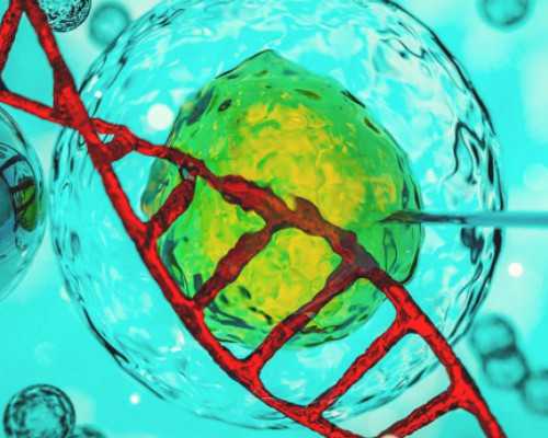 在哈尔滨做供卵试管婴儿 哈尔滨试管婴儿成功率想要成功一定要试试这些小方