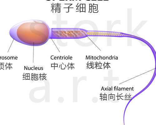 廊坊三代试管武汉