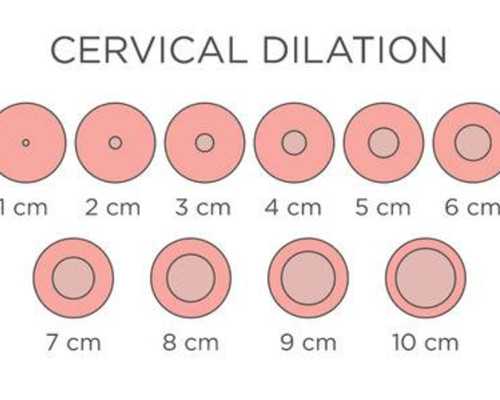 南昌第一代孕网 南昌一附院做试管婴儿周期多少钱? ‘营口伊人26周四维看男女