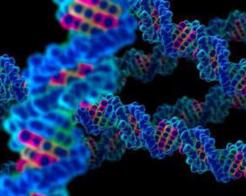 武汉可以签约做试管的医院有哪些？武汉签约试管怎么做？