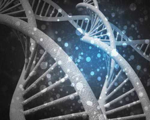 武汉供精试管婴儿要多久,武汉大学第一附属医院供卵等多久呢