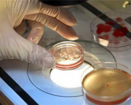 降调成功的表现