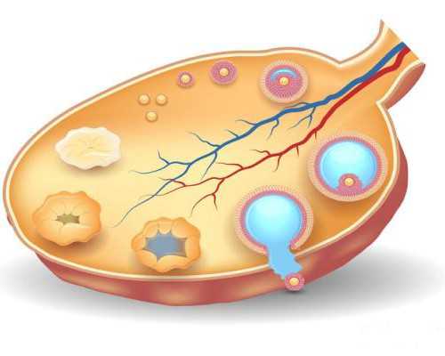 甘肃市哪家精子库好一点,甘肃人工受精医院哪家甘肃中山医院有供卵试管吗好
