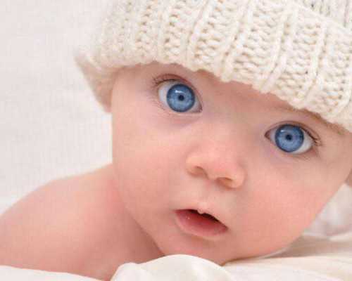 -白蛋白和免疫球蛋白区别