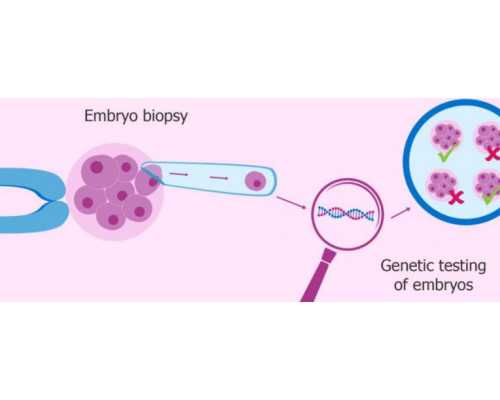 武汉供卵去哪里做,武汉试管助孕医院,武汉试管成功率
