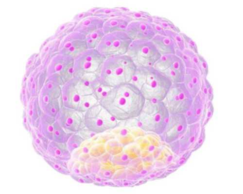 广州借卵试管节省费用小妙招,2023广州六院生殖中心有借卵生子成功的吗？