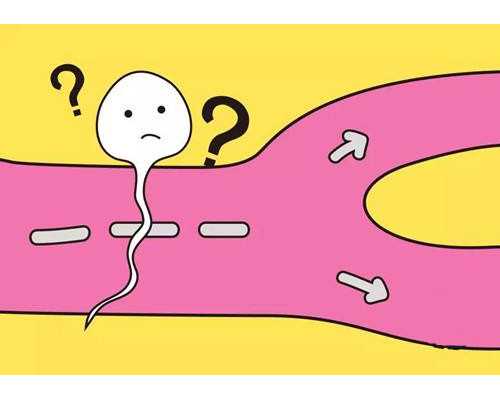 武汉代生孩子取卵过程 武汉热门供卵助孕机构推荐 ‘四个月b超显示女翻男’