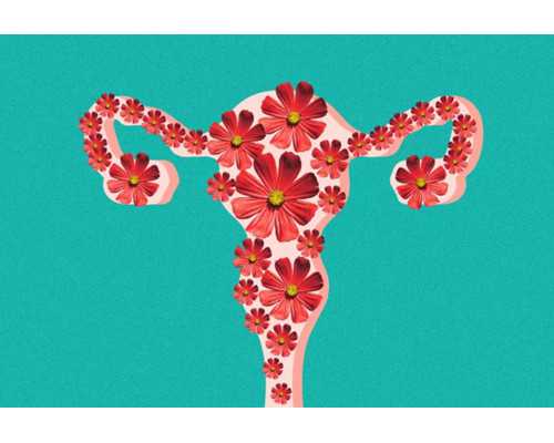 武汉试管代怀功略,武汉供卵生殖中心,武汉供卵试管中心