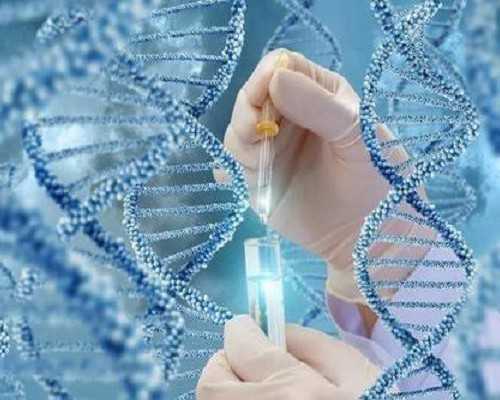 嘉兴私人供卵机构 在浙江做试管选择嘉兴妇保院好还是杭州邵逸夫好？ ‘孕囊