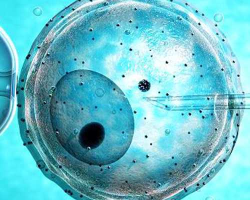 武汉助孕中心供卵|[武汉同济做试管成功率高吗]同济医院做试管成功率大吗