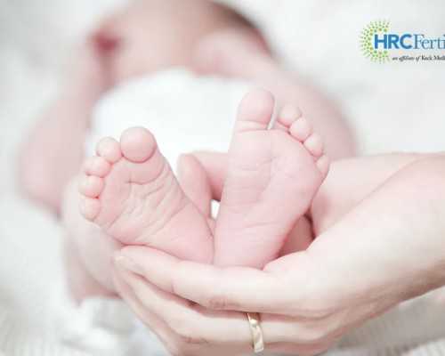 肉苁蓉泡酒的功效与有什么作用