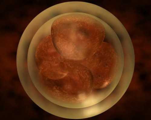 甘肃能做供卵医院 2022甘肃省私立助孕机构名单大全，附试管费用和成功率预估