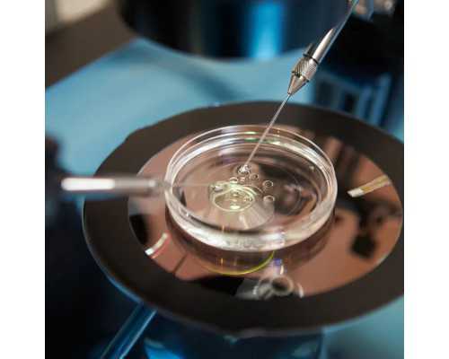 武汉代孕医院一对一|2023武汉中南医院试管婴儿费用一览,附试管生男孩省钱攻