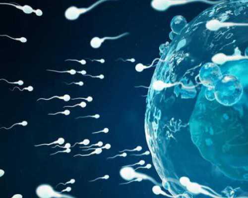 兰州哪里有代孕女人|达州有做试管婴儿的医院吗？