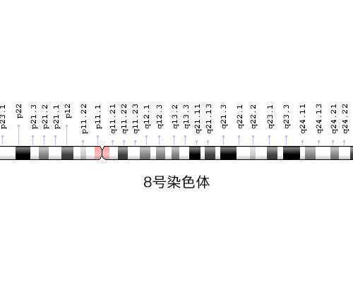 上海去台湾供卵的医生,上海九院排队做供卵试管婴儿大概要多长时间?