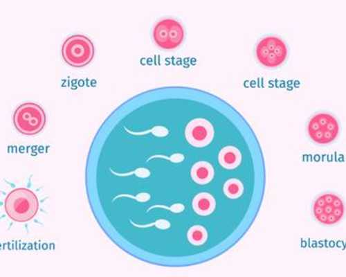 深圳恒生医院供卵做三代试管婴儿要等多久？,深圳北大不排队做供卵三代试管
